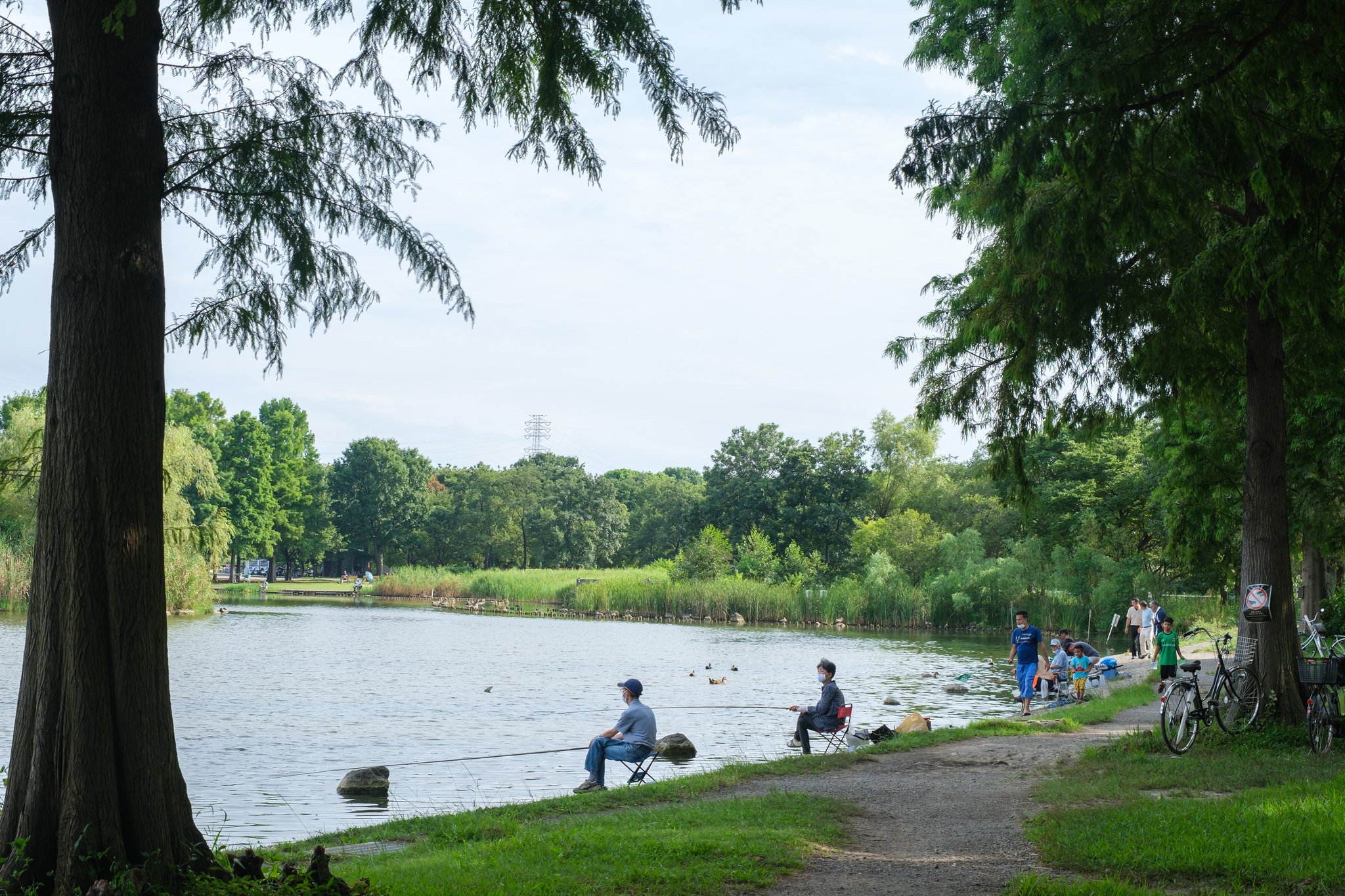 🌳 토네리 공원(토네리코엔) 이미지 5